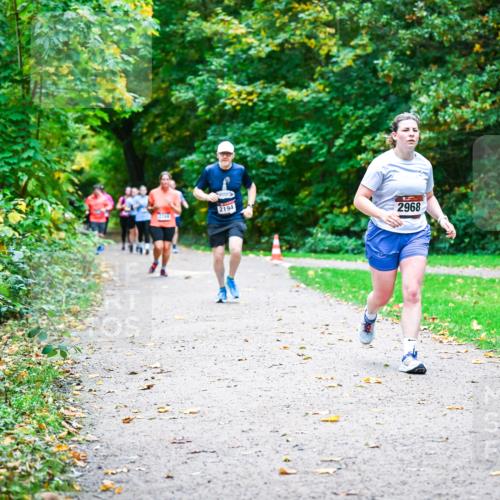 12.10.2025 - Bramfelder Halbmarathon 2025 Dr. Thomas Lammeyer http://msf.ph/oto/9349009 12.10.2025 10:29:20 Laufen 2194, 2968 meine-sportfotos.de