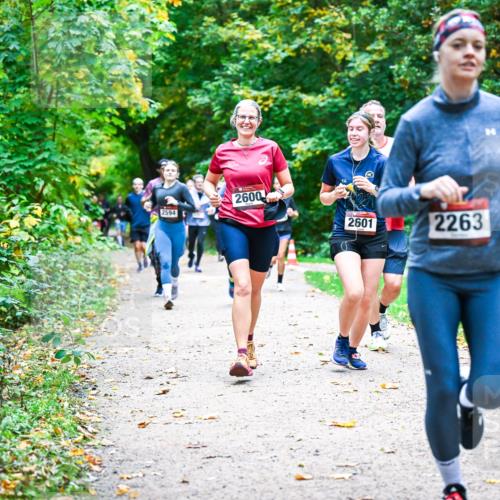 12.10.2025 - Bramfelder Halbmarathon 2025 Dr. Thomas Lammeyer http://msf.ph/oto/9349130 12.10.2025 10:29:43 Laufen 2600, 2594, 2601, 2263 meine-sportfotos.de