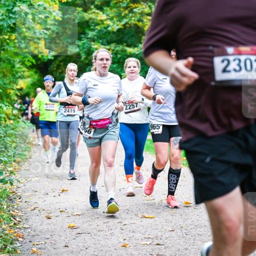 12.10.2025 - Bramfelder Halbmarathon 2025 Dr. Thomas Lammeyer http://msf.ph/oto/9349357 12.10.2025 10:30:33 Laufen 2389, 2419, 966, 1411, 2257, 965, 142, 2302 meine-sportfotos.de