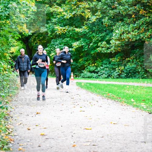 12.10.2025 - Bramfelder Halbmarathon 2025 Dr. Thomas Lammeyer http://msf.ph/oto/9349406 12.10.2025 10:30:42 Laufen 2956, 2405 meine-sportfotos.de