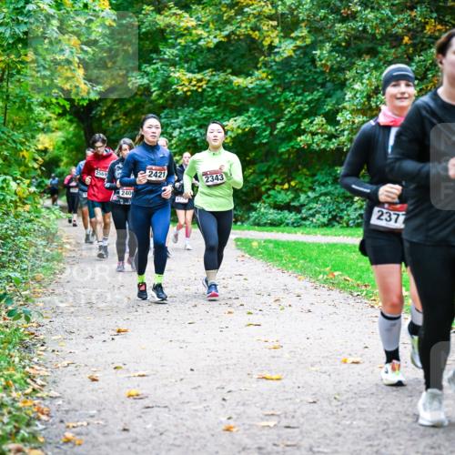 12.10.2025 - Bramfelder Halbmarathon 2025 Dr. Thomas Lammeyer http://msf.ph/oto/9349506 12.10.2025 10:31:03 Laufen 2569, 240, 2421, 277, 2343, 2377 meine-sportfotos.de