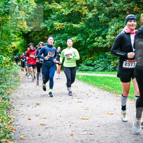 12.10.2025 - Bramfelder Halbmarathon 2025 Dr. Thomas Lammeyer http://msf.ph/oto/9349507 12.10.2025 10:31:03 Laufen 2569, 2421, 233, 2377 meine-sportfotos.de