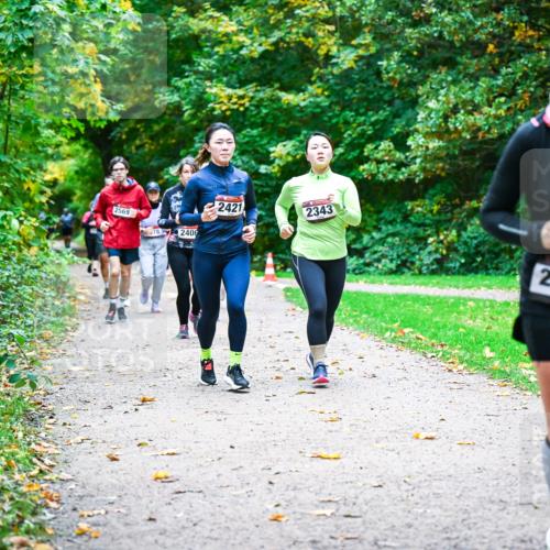 12.10.2025 - Bramfelder Halbmarathon 2025 Dr. Thomas Lammeyer http://msf.ph/oto/9349511 12.10.2025 10:31:04 Laufen 2569, 78, 2406, 2421, 2343, 2377 meine-sportfotos.de