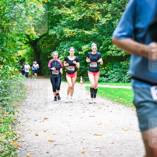 12.10.2025 - Bramfelder Halbmarathon 2025 Dr. Thomas Lammeyer http://msf.ph/oto/9349552 12.10.2025 10:31:12 Laufen 2286, 2827, 2617, 2585 meine-sportfotos.de