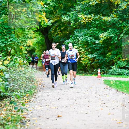 12.10.2025 - Bramfelder Halbmarathon 2025 Dr. Thomas Lammeyer http://msf.ph/oto/9349577 12.10.2025 10:31:20 Laufen 2396, 23, 2319 meine-sportfotos.de