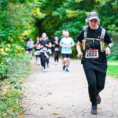 12.10.2025 - Bramfelder Halbmarathon 2025 Dr. Thomas Lammeyer http://msf.ph/oto/9349818 12.10.2025 10:32:04 Laufen 2822 meine-sportfotos.de