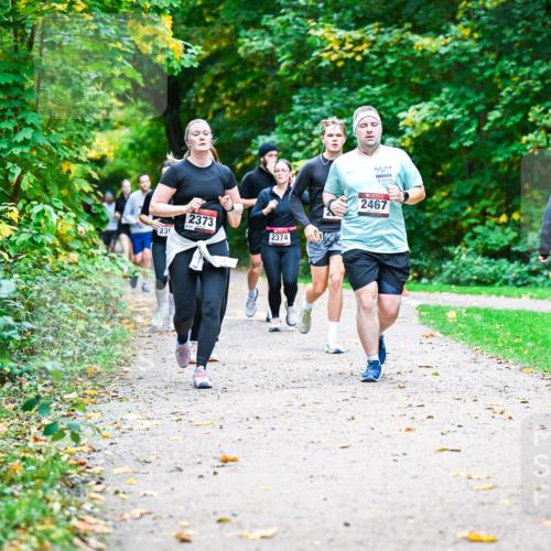 12.10.2025 - Bramfelder Halbmarathon 2025 Dr. Thomas Lammeyer http://msf.ph/oto/9349826 12.10.2025 10:32:06 Laufen 235, 2373, 2374, 2467 meine-sportfotos.de