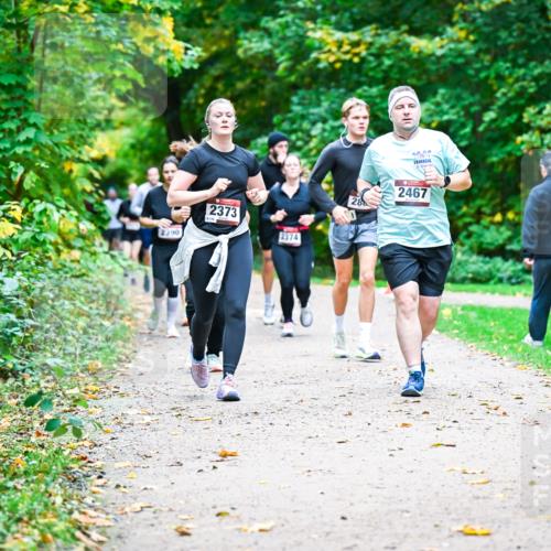 12.10.2025 - Bramfelder Halbmarathon 2025 Dr. Thomas Lammeyer http://msf.ph/oto/9349831 12.10.2025 10:32:07 Laufen 2390, 2373, 2374, 28, 2467 meine-sportfotos.de
