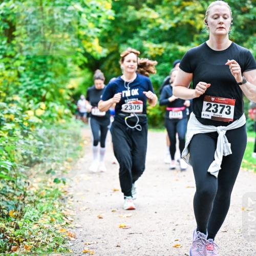 12.10.2025 - Bramfelder Halbmarathon 2025 Dr. Thomas Lammeyer http://msf.ph/oto/9349854 12.10.2025 10:32:10 Laufen 2305, 34, 2373, 134 meine-sportfotos.de