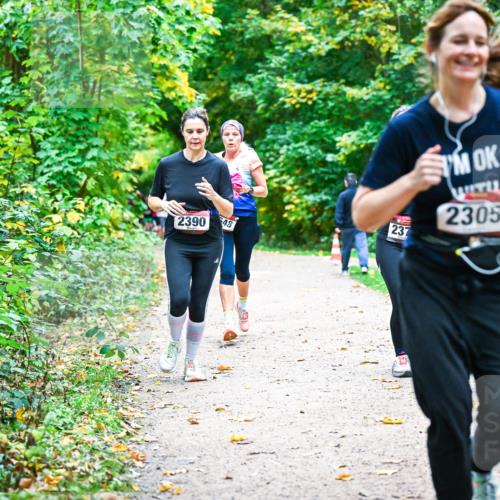 12.10.2025 - Bramfelder Halbmarathon 2025 Dr. Thomas Lammeyer http://msf.ph/oto/9349861 12.10.2025 10:32:11 Laufen 2390, 48, 237, 2305 meine-sportfotos.de