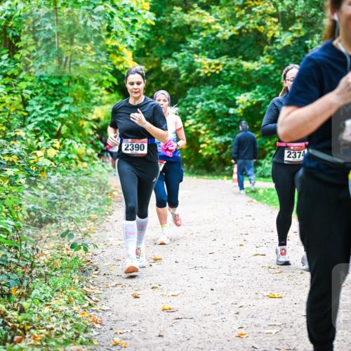 12.10.2025 - Bramfelder Halbmarathon 2025 Dr. Thomas Lammeyer http://msf.ph/oto/9349862 12.10.2025 10:32:11 Laufen 2390, 2374, 2305 meine-sportfotos.de