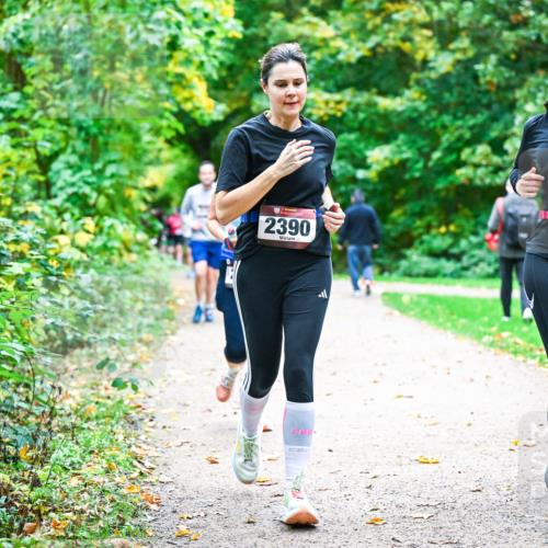 12.10.2025 - Bramfelder Halbmarathon 2025 Dr. Thomas Lammeyer http://msf.ph/oto/9349866 12.10.2025 10:32:13 Laufen 2390, 2374 meine-sportfotos.de