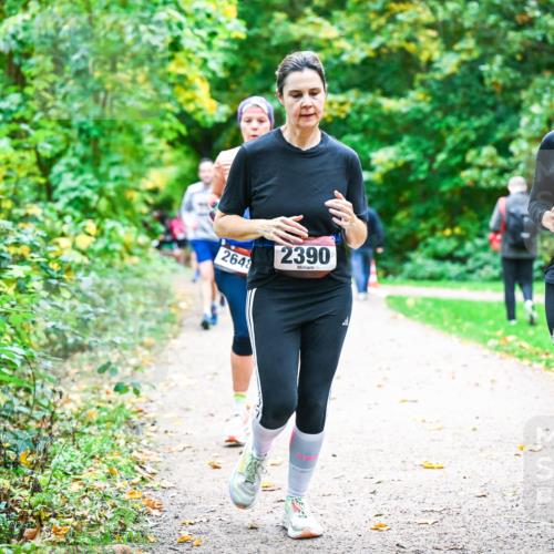 12.10.2025 - Bramfelder Halbmarathon 2025 Dr. Thomas Lammeyer http://msf.ph/oto/9349867 12.10.2025 10:32:13 Laufen 2648, 2390, 2374 meine-sportfotos.de