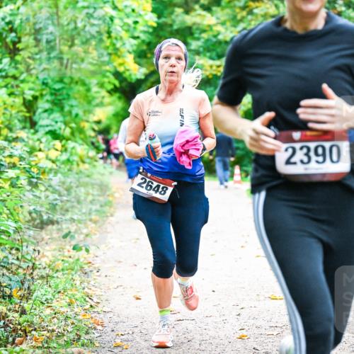 12.10.2025 - Bramfelder Halbmarathon 2025 Dr. Thomas Lammeyer http://msf.ph/oto/9349870 12.10.2025 10:32:14 Laufen 2648, 2390 meine-sportfotos.de