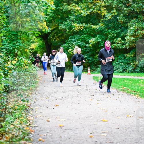 12.10.2025 - Bramfelder Halbmarathon 2025 Dr. Thomas Lammeyer http://msf.ph/oto/9350080 12.10.2025 10:32:51 Laufen 2899, 2200, 332, 2244 meine-sportfotos.de