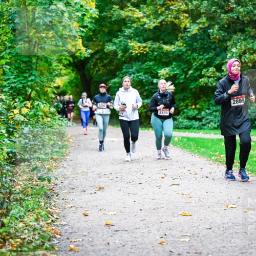 12.10.2025 - Bramfelder Halbmarathon 2025 Dr. Thomas Lammeyer http://msf.ph/oto/9350089 12.10.2025 10:32:52 Laufen 2899, 2200, 32, 2244 meine-sportfotos.de
