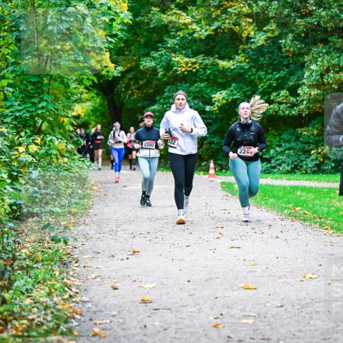 12.10.2025 - Bramfelder Halbmarathon 2025 Dr. Thomas Lammeyer http://msf.ph/oto/9350093 12.10.2025 10:32:53 Laufen 332, 2899, 2200, 224 meine-sportfotos.de