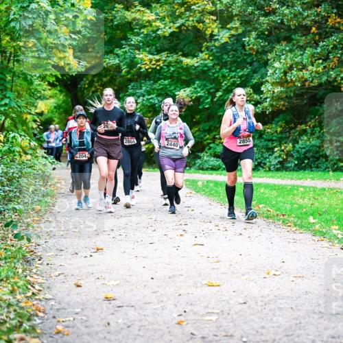 12.10.2025 - Bramfelder Halbmarathon 2025 Dr. Thomas Lammeyer http://msf.ph/oto/9350146 12.10.2025 10:33:04 Laufen 204, 26, 2804, 2440, 2855 meine-sportfotos.de