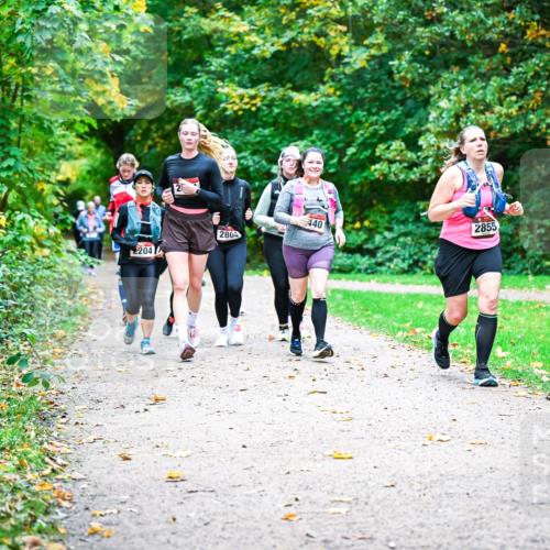 12.10.2025 - Bramfelder Halbmarathon 2025 Dr. Thomas Lammeyer http://msf.ph/oto/9350152 12.10.2025 10:33:04 Laufen 204, 280, 440, 2855 meine-sportfotos.de