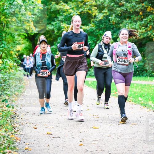 12.10.2025 - Bramfelder Halbmarathon 2025 Dr. Thomas Lammeyer http://msf.ph/oto/9350165 12.10.2025 10:33:06 Laufen 204, 2, 694, 8, 805, 2440 meine-sportfotos.de