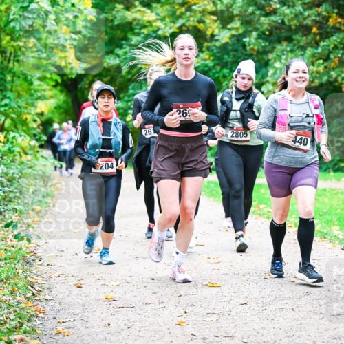 12.10.2025 - Bramfelder Halbmarathon 2025 Dr. Thomas Lammeyer http://msf.ph/oto/9350167 12.10.2025 10:33:07 Laufen 204, 26, 269, 2805, 440 meine-sportfotos.de