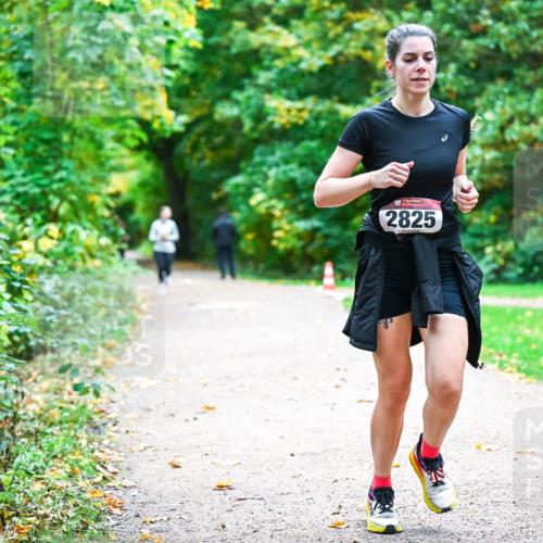 12.10.2025 - Bramfelder Halbmarathon 2025 Dr. Thomas Lammeyer http://msf.ph/oto/9350269 12.10.2025 10:33:27 Laufen 34, 2825 meine-sportfotos.de