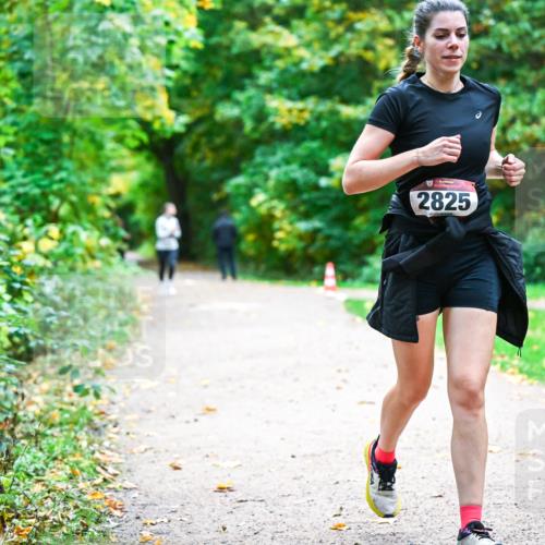 12.10.2025 - Bramfelder Halbmarathon 2025 Dr. Thomas Lammeyer http://msf.ph/oto/9350270 12.10.2025 10:33:27 Laufen 2825 meine-sportfotos.de
