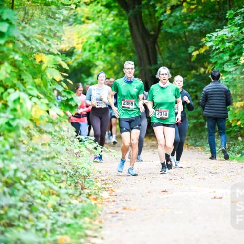 12.10.2025 - Bramfelder Halbmarathon 2025 Dr. Thomas Lammeyer http://msf.ph/oto/9350305 12.10.2025 10:33:45 Laufen 272, 2355, 2318 meine-sportfotos.de