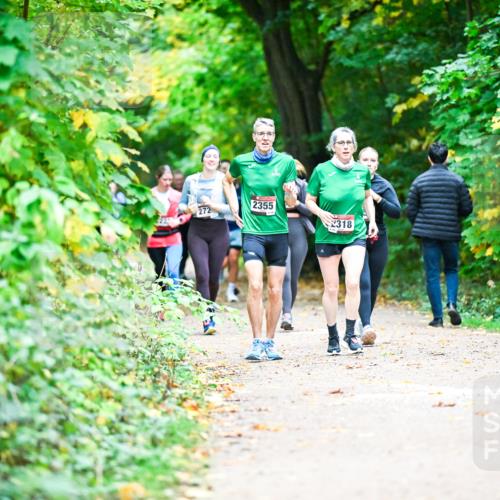 12.10.2025 - Bramfelder Halbmarathon 2025 Dr. Thomas Lammeyer http://msf.ph/oto/9350306 12.10.2025 10:33:45 Laufen 272, 2355, 318 meine-sportfotos.de