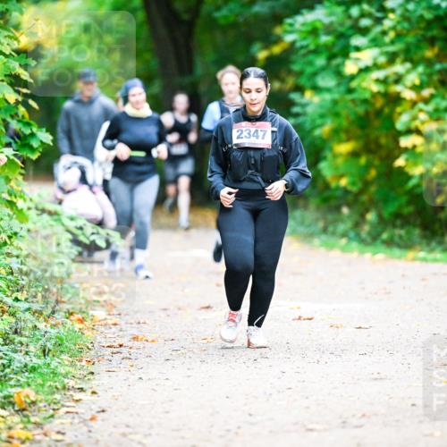 12.10.2025 - Bramfelder Halbmarathon 2025 Dr. Thomas Lammeyer http://msf.ph/oto/9350457 12.10.2025 10:34:15 Laufen 2347 meine-sportfotos.de
