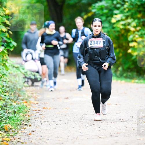 12.10.2025 - Bramfelder Halbmarathon 2025 Dr. Thomas Lammeyer http://msf.ph/oto/9350465 12.10.2025 10:34:16 Laufen 2347 meine-sportfotos.de