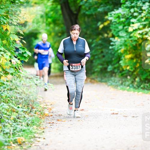 12.10.2025 - Bramfelder Halbmarathon 2025 Dr. Thomas Lammeyer http://msf.ph/oto/9350585 12.10.2025 10:34:49 Laufen 2387 meine-sportfotos.de