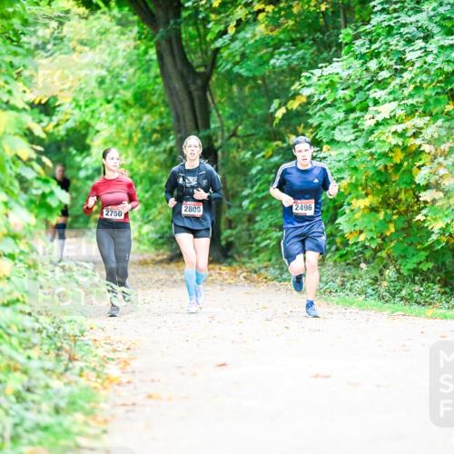 12.10.2025 - Bramfelder Halbmarathon 2025 Dr. Thomas Lammeyer http://msf.ph/oto/9350652 12.10.2025 10:35:16 Laufen 2750, 2809, 2496 meine-sportfotos.de