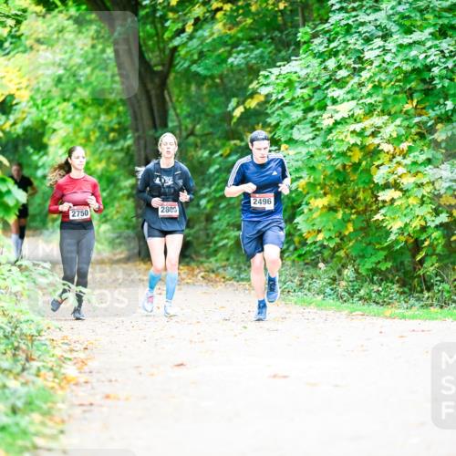 12.10.2025 - Bramfelder Halbmarathon 2025 Dr. Thomas Lammeyer http://msf.ph/oto/9350655 12.10.2025 10:35:16 Laufen 2496, 2750, 2809 meine-sportfotos.de