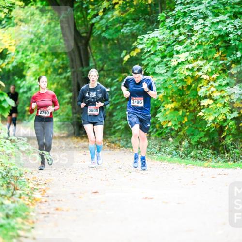 12.10.2025 - Bramfelder Halbmarathon 2025 Dr. Thomas Lammeyer http://msf.ph/oto/9350658 12.10.2025 10:35:17 Laufen 2496, 2809, 2750 meine-sportfotos.de