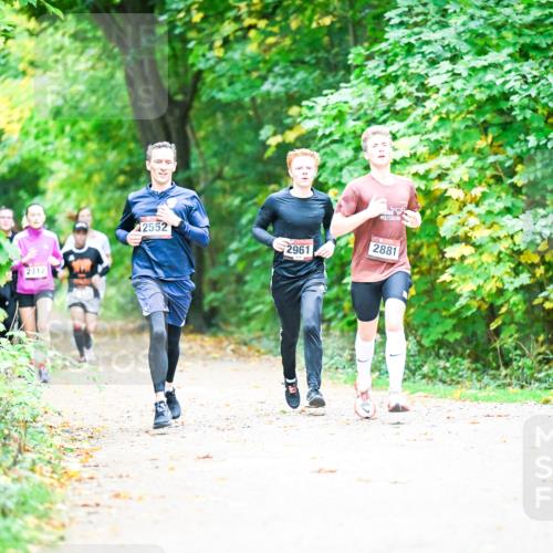 12.10.2025 - Bramfelder Halbmarathon 2025 Dr. Thomas Lammeyer http://msf.ph/oto/9350789 12.10.2025 10:35:59 Laufen 2712, 2552, 2961, 2881 meine-sportfotos.de