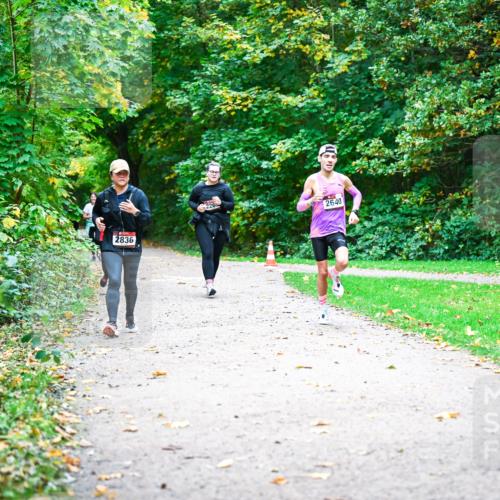 12.10.2025 - Bramfelder Halbmarathon 2025 Dr. Thomas Lammeyer http://msf.ph/oto/9350858 12.10.2025 10:36:13 Laufen 2836, 226, 2640 meine-sportfotos.de