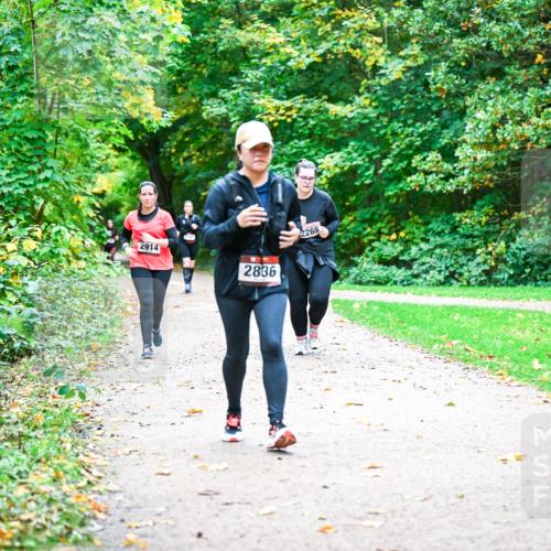 12.10.2025 - Bramfelder Halbmarathon 2025 Dr. Thomas Lammeyer http://msf.ph/oto/9350872 12.10.2025 10:36:15 Laufen 2914, 2836, 2265 meine-sportfotos.de