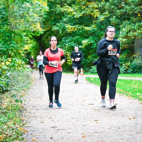 12.10.2025 - Bramfelder Halbmarathon 2025 Dr. Thomas Lammeyer http://msf.ph/oto/9350886 12.10.2025 10:36:18 Laufen 2265 meine-sportfotos.de