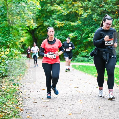 12.10.2025 - Bramfelder Halbmarathon 2025 Dr. Thomas Lammeyer http://msf.ph/oto/9350891 12.10.2025 10:36:18 Laufen 014, 2265 meine-sportfotos.de