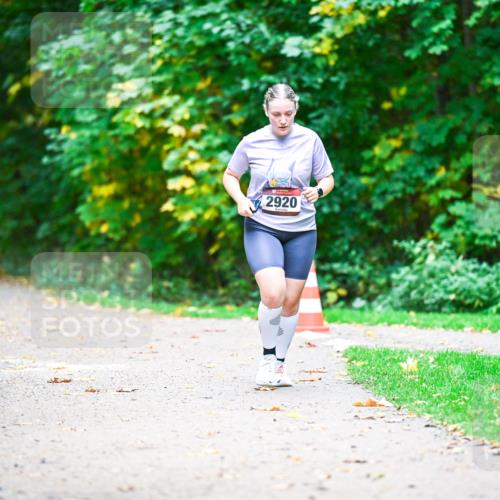 12.10.2025 - Bramfelder Halbmarathon 2025 Dr. Thomas Lammeyer http://msf.ph/oto/9351235 12.10.2025 10:38:21 Laufen 2910, 2920 meine-sportfotos.de