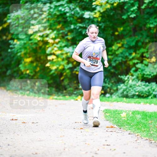 12.10.2025 - Bramfelder Halbmarathon 2025 Dr. Thomas Lammeyer http://msf.ph/oto/9351239 12.10.2025 10:38:21 Laufen 2919, 2820 meine-sportfotos.de