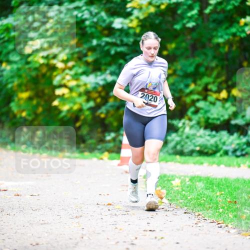 12.10.2025 - Bramfelder Halbmarathon 2025 Dr. Thomas Lammeyer http://msf.ph/oto/9351245 12.10.2025 10:38:22 Laufen 2919, 2920 meine-sportfotos.de