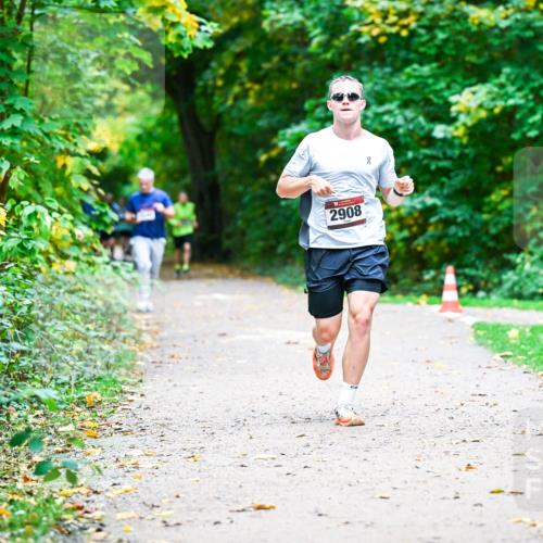 12.10.2025 - Bramfelder Halbmarathon 2025 Dr. Thomas Lammeyer http://msf.ph/oto/9351314 12.10.2025 10:38:35 Laufen 2908 meine-sportfotos.de
