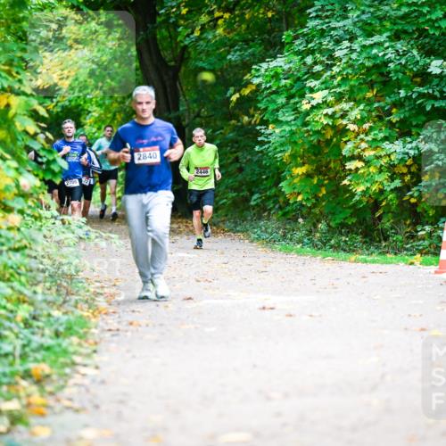 12.10.2025 - Bramfelder Halbmarathon 2025 Dr. Thomas Lammeyer http://msf.ph/oto/9351328 12.10.2025 10:38:38 Laufen 2708, 72, 2840, 2446 meine-sportfotos.de