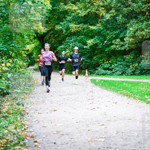 12.10.2025 - Bramfelder Halbmarathon 2025 Dr. Thomas Lammeyer http://msf.ph/oto/9352367 12.10.2025 10:43:26 Laufen 2766, 2197, 249, 2459 meine-sportfotos.de