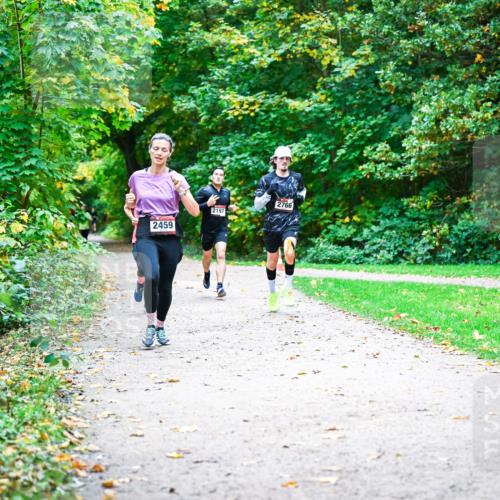 12.10.2025 - Bramfelder Halbmarathon 2025 Dr. Thomas Lammeyer http://msf.ph/oto/9352374 12.10.2025 10:43:27 Laufen 2459, 2197, 2766 meine-sportfotos.de