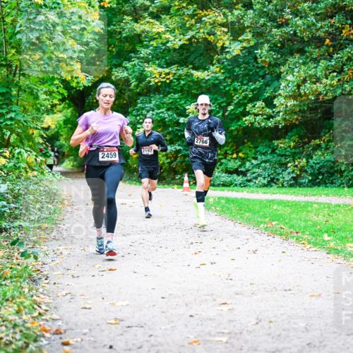 12.10.2025 - Bramfelder Halbmarathon 2025 Dr. Thomas Lammeyer http://msf.ph/oto/9352377 12.10.2025 10:43:28 Laufen 2459, 2197, 2766 meine-sportfotos.de