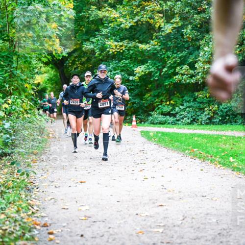 12.10.2025 - Bramfelder Halbmarathon 2025 Dr. Thomas Lammeyer http://msf.ph/oto/9352634 12.10.2025 10:44:20 Laufen 2438, 2897, 2649, 2184, 29 meine-sportfotos.de
