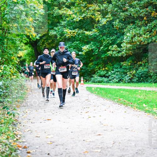 12.10.2025 - Bramfelder Halbmarathon 2025 Dr. Thomas Lammeyer http://msf.ph/oto/9352636 12.10.2025 10:44:21 Laufen 2438, 649, 2897, 2184 meine-sportfotos.de